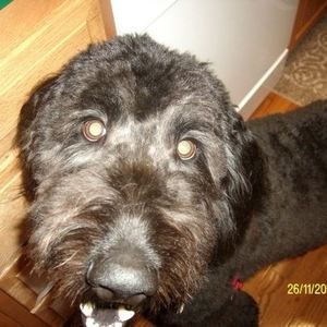 Meet your Posher, Nigel